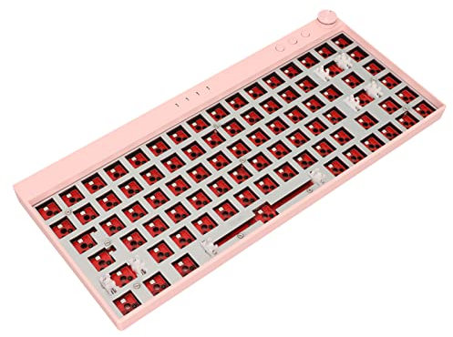 RGB Modular DIY Mechanical Keyboard, with Switch Hot Swap Shaft Seating, 65% Layout, Supports Wireless 2.4G, BT3.0, 5.0, Type C Wired, Customized Keyboard Kit for Home, Office(Pink)