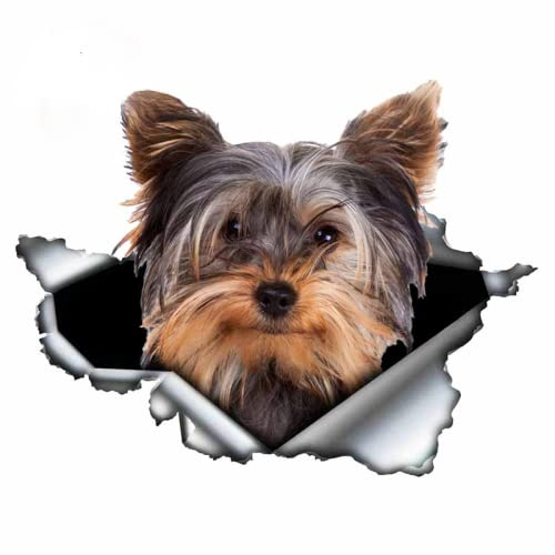 13 Cm X 12,6 Cm Yorkshire Terrier Vinyl Persönlichkeit Aufkleber Zerrissen Metall Aufkleber Tier Auto Aufkleber Fenster Stoßstange Haustier Hund Auto Styling(2 Stück)
