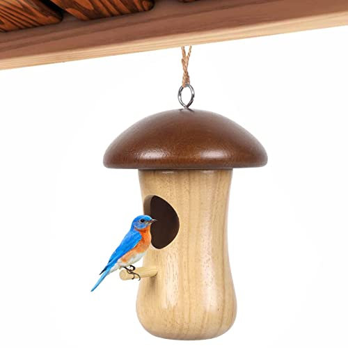 Casette per uccelli | Casa per colibrì nido all'aperto, casa in legno a forma di fungo, casa colibrì non facile da deformare per colibrì passero rondine maodom