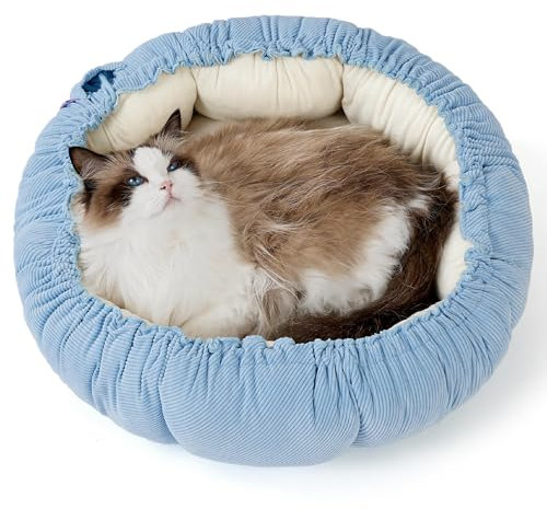 Lesure Katzenbett waschbar Katzen Bettchen - 53x53x18cm 2 in 1 Katzen Bett mit Zweiseitig Innenkissen Katzenschlafplatz für Katzen oder kleine Hunde, Blau