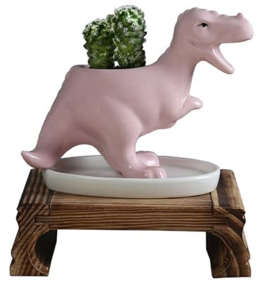 Pots De Plantes D'intérieur Pot de fleur succulent de dinosaure créatif, Pot de fleur de jardinage domestique, Pot de fleur en céramique de bureau avec plateau Jardinières Pour Plantes D'extérieur(B)