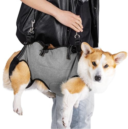LUCKY LUCY Harnais pour chien avec poignée - Aide au transport réglable pour pattes arrière et support avant - Aide à la mobilité pour les chiens âgés, blessés et handicapés - Moyen et grand chien