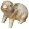 Spetebo Spardose goldene Sau - 20x18x10 cm - Sparschwein in Gold/Champagner - Sparbüchse Spardose Ferkel