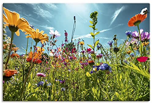 ARTLAND Wanddeko Leinwand Bilder Wandbild 90x60 cm Blumenbilder Blumenwiese Blüten Frühling Blumen Bunt U2KS