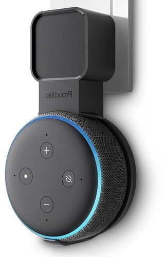 P5+ Halterung Wandhalterung Ständer, Verstecktes Kabel, Keine Unordentlichen Drähte, Eine Platzsparende Lösung für Smart Home Lautsprecher, Anthrazit