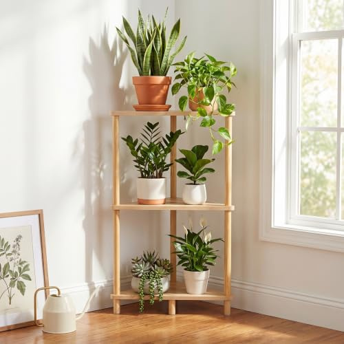 Hometopia Eckregal 78 cm, Holz mit 3 Ebenen & Dreieck-Design | Standregal Dreieck, vielseitig als Bücherregal & Raumteiler, für Wohnzimmer, Schlafzimmer, Büro & Bad, platzsparend, stabil