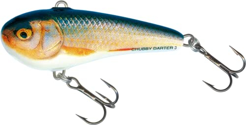 Salmo Chubby Darter Sinking - Wobbler zum Spinnfischen auf Zander, Barsch & Forelle, Crankbait zum Spinnangeln, Barschköder, Farbe:Real Roach, Länge/Gewicht:3cm - 3.2g