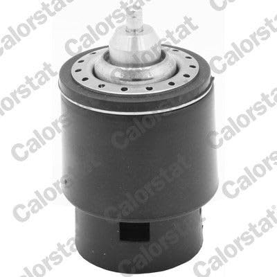 CALORSTAT by Vernet Thermostat