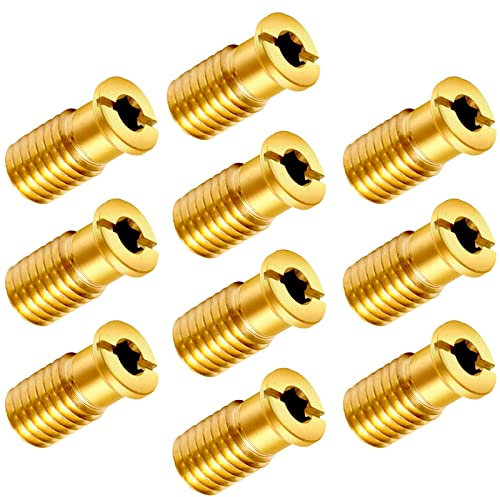10 Pieces Brass Pool Cover Anchors Screws Pool Safety Cover Anchor Replacement Kit, Heavy Duty Pool Cover Anchors Concrete