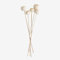 SKLUM Lot de 5 Branches séchées décoratives Aegle Blanc