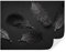 TAPEKO Papier Peint 3D Panoramique Série noire 360x250 cm style 3D Plumes noires Papier Peint intissé pour Chambre Salon Personnalisé Décoration Murale u72331