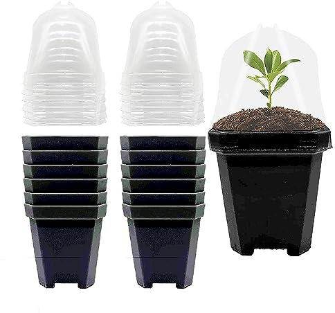 Vasi per piante da vivaio, 15,5 cm, in plastica nera, con cupola e vassoio per umidità, vasi da fiori quadrati per verdure, fiori e piante grasse, confezione da 12