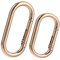 Aeaocvo 2 Pcs Spring O Ring Clip, Metal Spring Key Ring, Keychain Rings for Keys, Bags, Handbags, Crafts