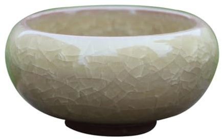 Small Ceramic Pot for Succulents with Hole Pot Plants Small Planter Air Plants Flower Pot Artificial Plants Container and Decoration 1 Piece Terracotta with (C One Size)