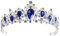 Frcolor Blaue Kristallkrone Hochzeit Braut Tiara Königin Prinzessin Kopfschmuck Strass Stirnbänder für Geburtstagsparty