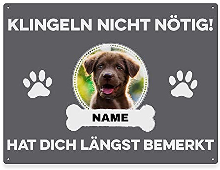 Hunde Schild personalisiert - Klingeln nicht nötig - Metallschild mit Foto und Name für außen, wetterfestes Türschild für Hundebesitzer - DIN A5-21 x 15 cm, ein Tier, grau