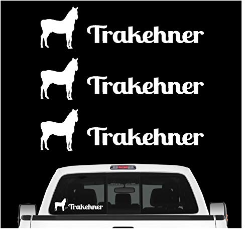 siviwonder Trakehner Sportpferd Aufkleber 3er Set Pferdeaufkleber Pferd reiten Auto Folie Farbe Weiss, Größe 10cm