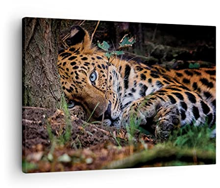 ARTTOR Bilder auf Leinwand Leopard Porträt Jaguar Leinwandbild 70x50cm Wandbilder Dekoration Wohnzimmer Schlafzimmer Küche Deko Klein Wanddeko Bild Wand Kunstdruck Art Wall Decor Canvas AA70x50-4493