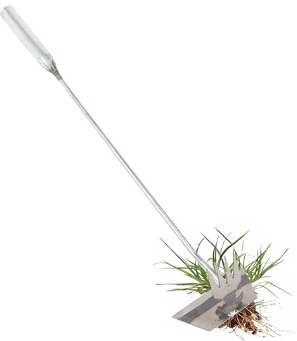 Générique Outil d'Arrachage de Gazon de Jardin,Robuste à 4 Dents - en Acier Inoxydable pour Enlèvement de Gazon,pour Chardon Chiendent Pelouse Arrière-Cour Ferme et Cour Jardiniers Adultes Personnes