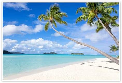 Posterlounge Plage blanche avec palmiers à Tahiti Poster de Jan Christopher Becke 30 x 20 cm Turquoise Tableaux Décoration murale