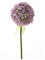 artplants.de Künstliche Blume Allium Durban, Hellviolett, 70cm - Kunstblume Zierlauch