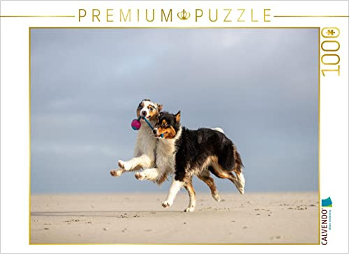 CALVENDO Puzzle Zu Zweit geht Alles Besser! | 1000 Teile Lege-Größe 64 x 48 cm Foto-Puzzle für glückliche Stunden
