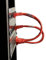 Black Box Corporation 6IN Black CAT6 550MHZ Patch Cable UTP cm SNAGLESS