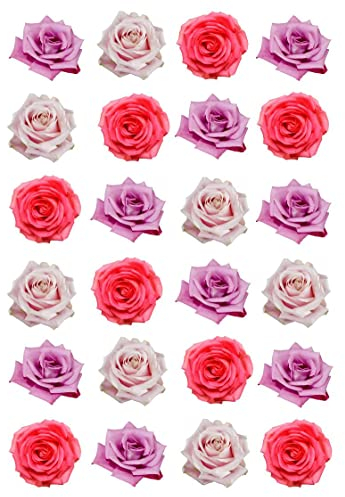 24 Pink and Red Roses Mixed Colours Single Rose Edible Rice Wafer Paper Cupcake Toppers Cake Decorations Flowers