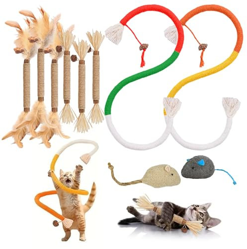 YADOBIG 10 Stück Katzenspielzeug 2 Beißseilen für Katzen, 6 Katzenminze Stick Spielzeug und 2 Katzenminze Maus Spielzeug, Interaktives Kauspielzeug Katze zur Zahnreinigung und zum Stressabbau(4 Typen)