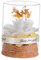 ORFOFE 1Stk Konservierte Blumenverzierung bürodeko büro Dekoration unsterblich Rosensträuße zur Hochzeit Blumenvase Pflanzen Glaskuppel Geschenk Abdeckung lebendigem Rosenglas Mini