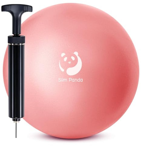 Slim Panda Gymnastikball Klein,23-25cm Pilates Ball mit Pumpe,Soft Yoga Ball fürHause,Fitness,Balance Training(Auslaufsichere Aufblasdüse) 
