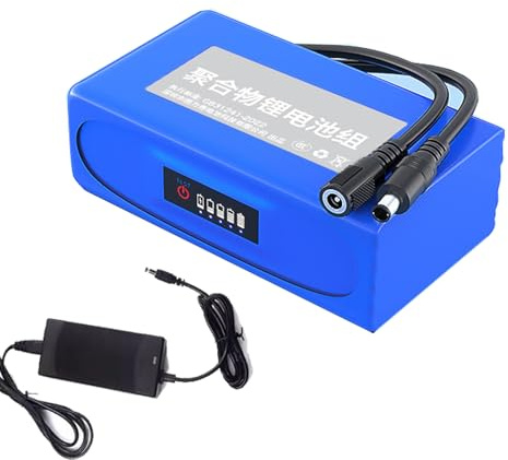 HJGHY 12V 24V 3000mAh 8000mAh 10000mAh 16000mAh DC Polymer Lithium Li-ion Rechargeable Battery Pack for Solar System LED Light Strips Camera Audio,12V,3000mAH