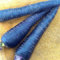 100pcs Karottensamen Bio gesunde Frucht-Gemüse-Samen 25 Arten wählt süße und gesunde Pflanze für Hausgarten-Pflanzen der Sky Blue