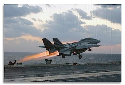 KAIMI Luftfahrt-Poster für F-14 Fighter Jet Bomber Poster Dekorative Malerei Leinwand Wandposter und Kunstbild Druck Moderne Familie Schlafzimmer Dekor Poster 08x12inch (20x30cm)