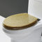 Dazzluxe Round Resin Toilet Seat with Glitter Toilet Lid, Slow Close Toilet Seats Cover, Including Fixing Sets of Parts, Fit Most Standard U/V/O Toilet, Quiet Close,Gold 1