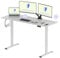 FLEXISPOT 160 * 60cm Electric Standing Desk Adjustable Standing Desk Sit Stand Up Desk Computer Desk with Hook Memory Function for Office and Home (White+White)