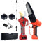 Hydravex Handheld Electric Pruner Kit, 2 Pcs Batteries, 2 in 1 Cordless Chainsaw & Pruning Shears with Max 6.3 ft Extension Pole, for Tree Branches, Courtyard, Household and Garden