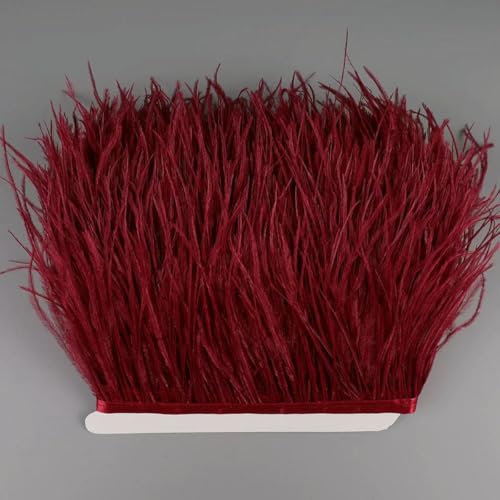 2M Plumas de avestruz en cinta para costura de bordado en vestidos Plumas decorativas en cinta Flecos para ropa-14 vino tinto-6 metros