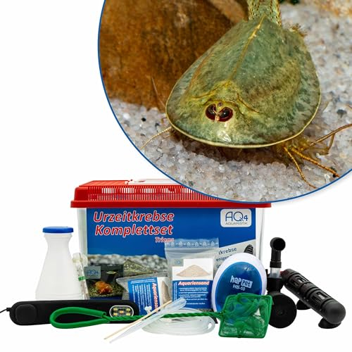 AQ4Aquaristik Triops mauritanicus (grün) Premium Komplett-Set mit ca. 200 Urzeitkrebs Eiern, 6 l Becken, LED-Beleuchtung, Zuchtansatz, Filter, Luftpumpe, Kescher, Futter, Zubehör, Anleitung,