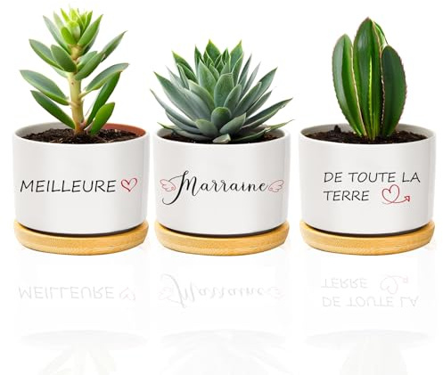 coTaSiEY Cadeau Marraine Noel, Pot de Fleurs Cadeau Marraine Femme Fete des Meres Fête des Mères Anniversaire Bapteme Baptême Noel Noël Idee Original
