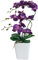 YSZL Phalaenopsis Orchidee, 38,1 cm, groß, Dunkelviolett