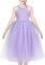 Vestito Bambina Viola Cavezza Collo Festa Pizzo Tulle Elegante Senza Maniche 10 Anni