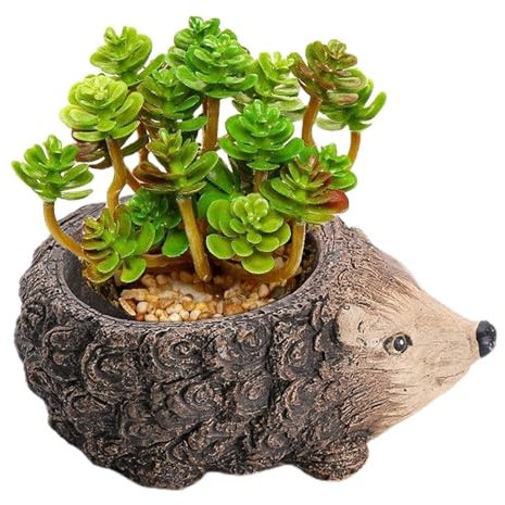zwxqe Pot de fleurs mignon pour tortues, grenouille succulente, hérisson, , pots de jardin, tortue, décorations de tortue pour plantes, pot de fleurs en ciment
