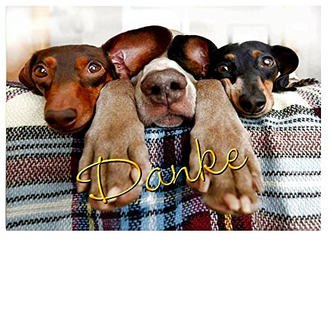 DigitalOase Dankeskarte Danksagung A5 Grußkarte Klappkarte Umschlag #VARDAA5 (HUNDE)