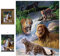 3D LiveLife Linsenförmige Wandkunst Drucke - Katzen Expedition von Deluxebase. Ungerahmtes 3D Wildtier Poster. Perfekter Wandfüller. Original kunstwerk lizenziert von bekannt künstler, Jerry LoFaro