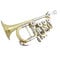 Student Trompete Bb Rotary Trompete B mit extra Mundrohr Messing Piccolo Trompeten Musikinstrumente Trompete mit Koffermundstück