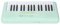 32 Key Electronic Keyboard, 16 Tones 10 Rhythms Piano Keyboard Digital Piano with Microphone (Avocado Green