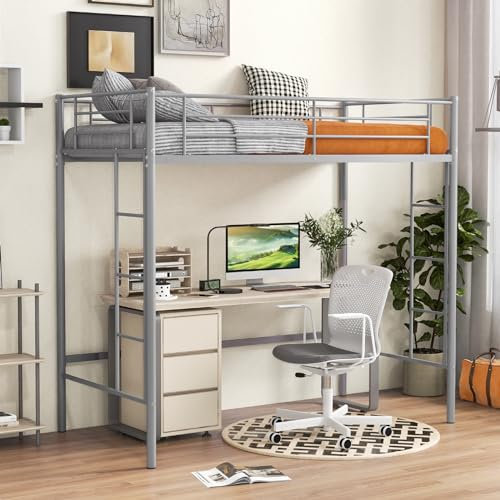 RELAX4LIFE Loft Bunk Bed, 2 Ladders Metal High Sleeper Bed with Safety Guardrail, Bedroom Furniture Space-Saving Single Bed Frame for Childern Teens Kids (Silver)