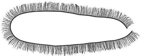 MotiveTech 10 Stück Bjd Falsche Wimpern, Puppenstreifen, Professionelle Wimpern für Die Herstellung Und Den Ersatz von Puppen, Schwarz, 10 mm