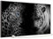 STEINFELD Bild Infrarotheizung mit Thermostat | Made in Germany | viele Motive 350-1200 Watt Rahmen schwarz (750 Watt, 006 Leopard mit Tiger)